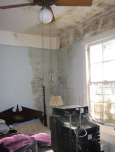 mold growth from water damage
