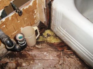 bathroom water damage